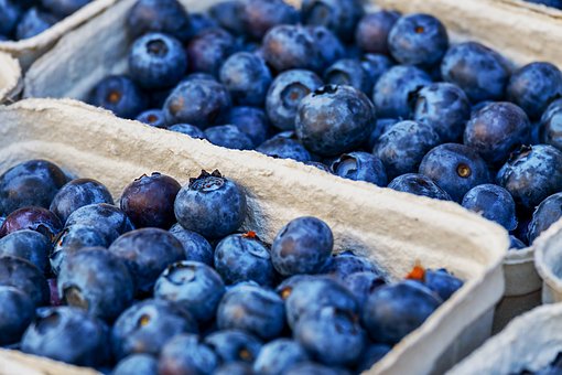 Acai Berries As A Healthy Food